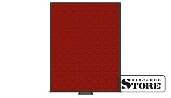 RAUCHGLAS Numismatic Box with 80 Round Slots for Coins up to 22.25 mm in Diameter